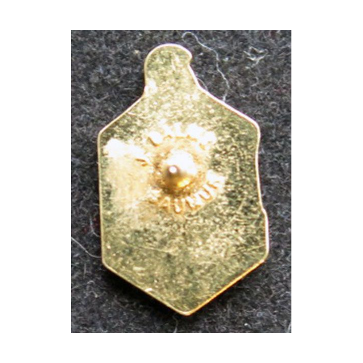 6° REG : pin's du 6° régiment étranger du génie de la légion étrangère