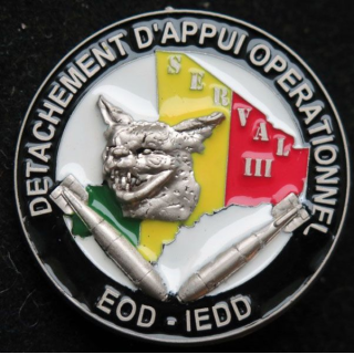 31° RG EOD IEDD 31° régiment Génie détachement d'appui opérationnel N° 061