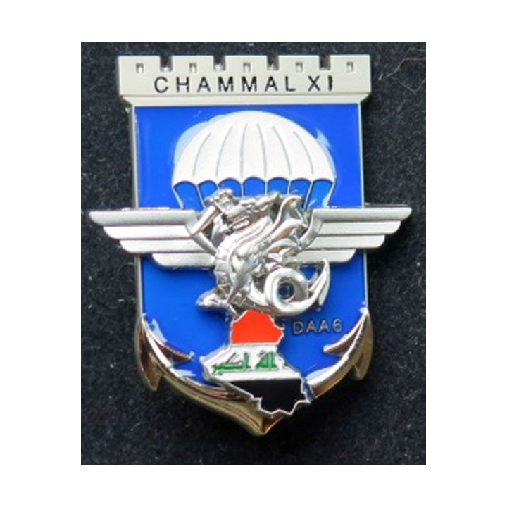 17° RGP 8° RPIMA DAA 6 17° génie para  8° para inf marine Chammal XI 