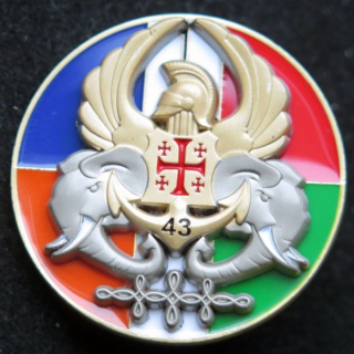 17° RGP 43° BIMA 1° Cie 17° régt génie parachutiste 43° Bima en RCI IMC