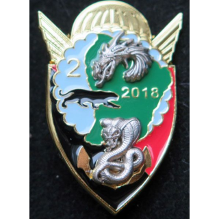 17° RGP 2° compagnie du 17° Régiment du génie parachutiste Guyane 2018