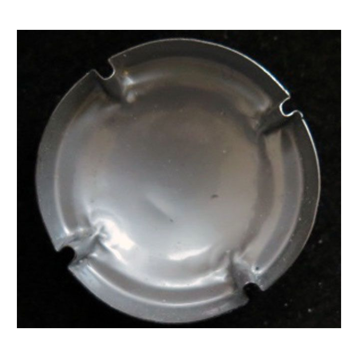 Capsule Muselet de champagne générique n° 1039 argent contour noir