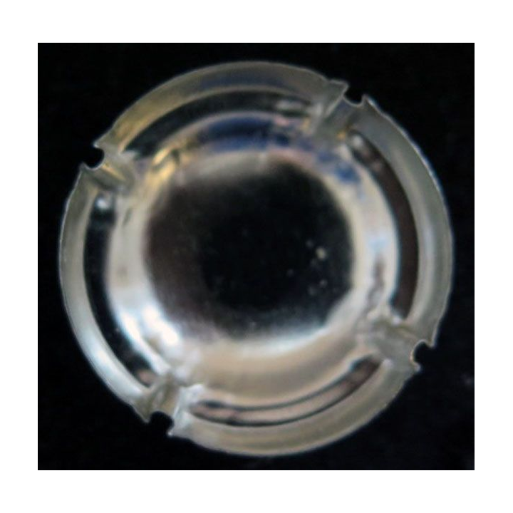 Capsule Muselet de champagne louis Constant n° 1a noir et Or jaune