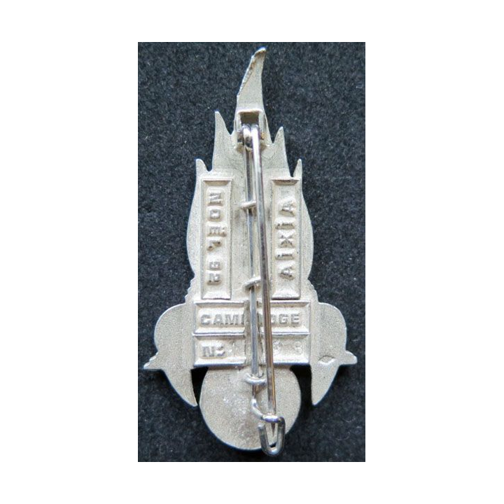1° REC 5° escadron 1° régiment étranger cavalerie Licorne XXXI IMC