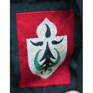 19° DI : insigne tissu de la 19° division d'infanterie