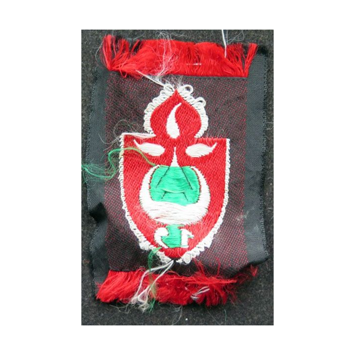 19° DI : insigne tissu de la 19° division d'infanterie