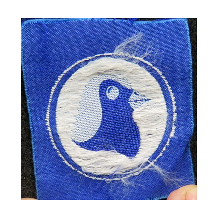 insigne tissu inconnu tête de pingouin sur fond bleu et cercle blanc