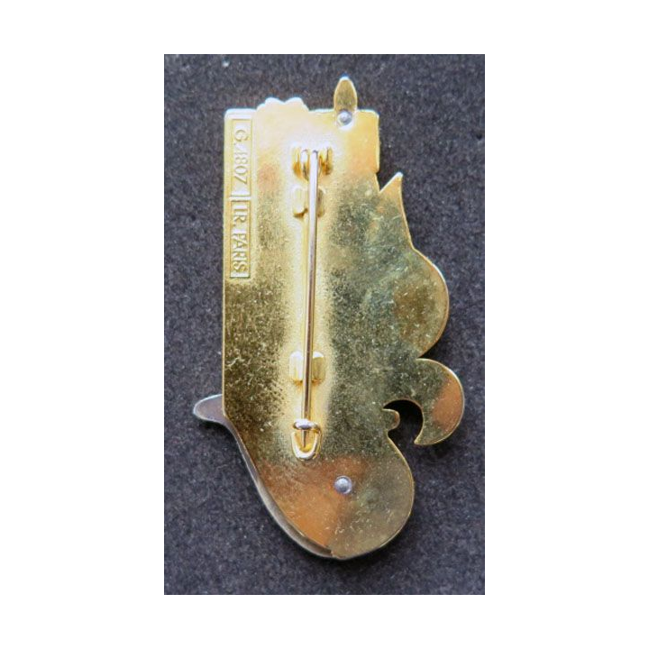 insigne 42° promotion Lieutenant de Ferrières LR Paris G. 4807 Légion