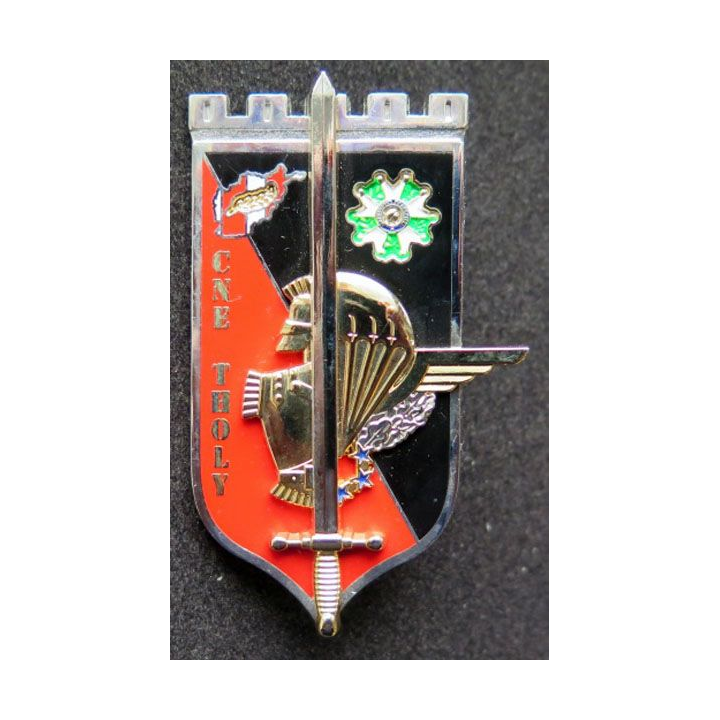 Insigne promotion OAEA-OAES Cne Tholy 2014-2015 Pichard Balme G. 5480