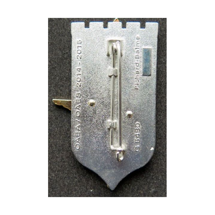 Insigne promotion OAEA-OAES Cne Tholy 2014-2015 Pichard Balme G. 5480