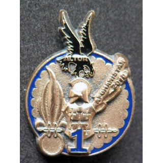 17° RGP 1° compagnie régiment génie para Afghanistan 2010 Altor 