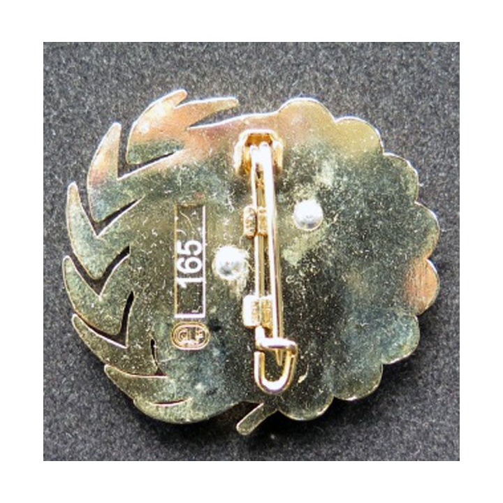 1° RHP 1° régiment hussards para Finul Liban Toujours plus oultre