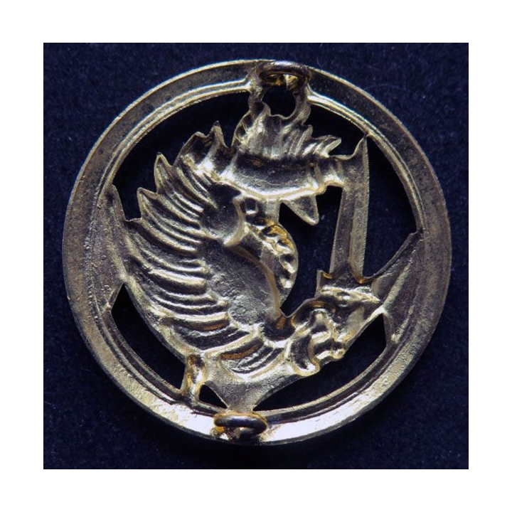 insigne de béret des commandos parachutistes coloniaux 