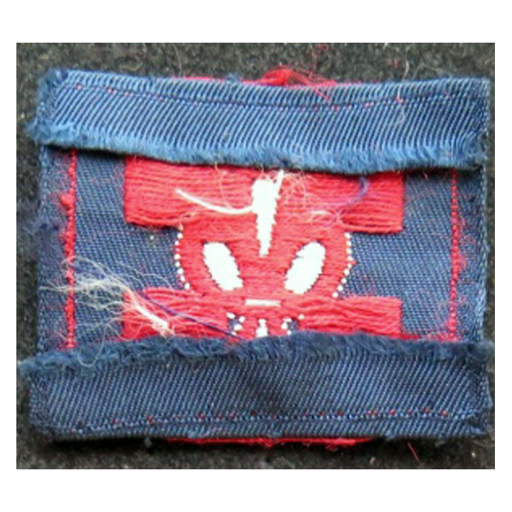 insigne tissu de promesse scoute