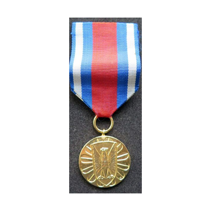 POLOGNE médaille polonaise Za zastuci wocrhronie porzadku publicznego