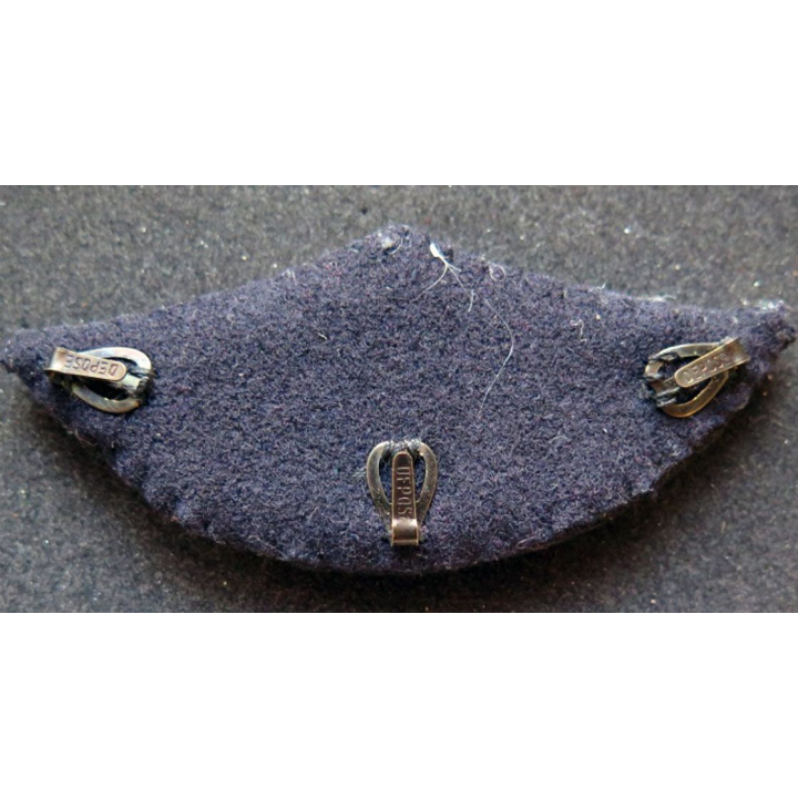 Insigne tissu de casquette d'officier de l'armée de l'air en cannetille