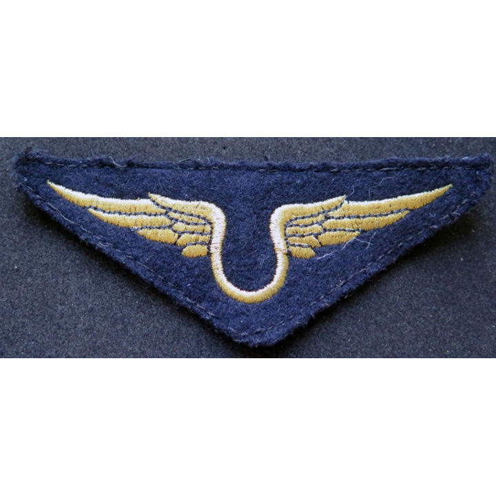 Insigne tissu de l'armée de l'air personnel non navigant