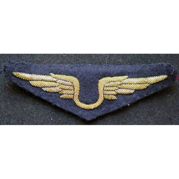 Insigne tissu de l'armée de l'air personnel non navigant en cannetille