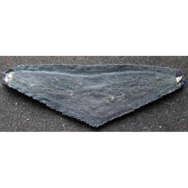 Insigne tissu de l'armée de l'air personnel non navigant en cannetille