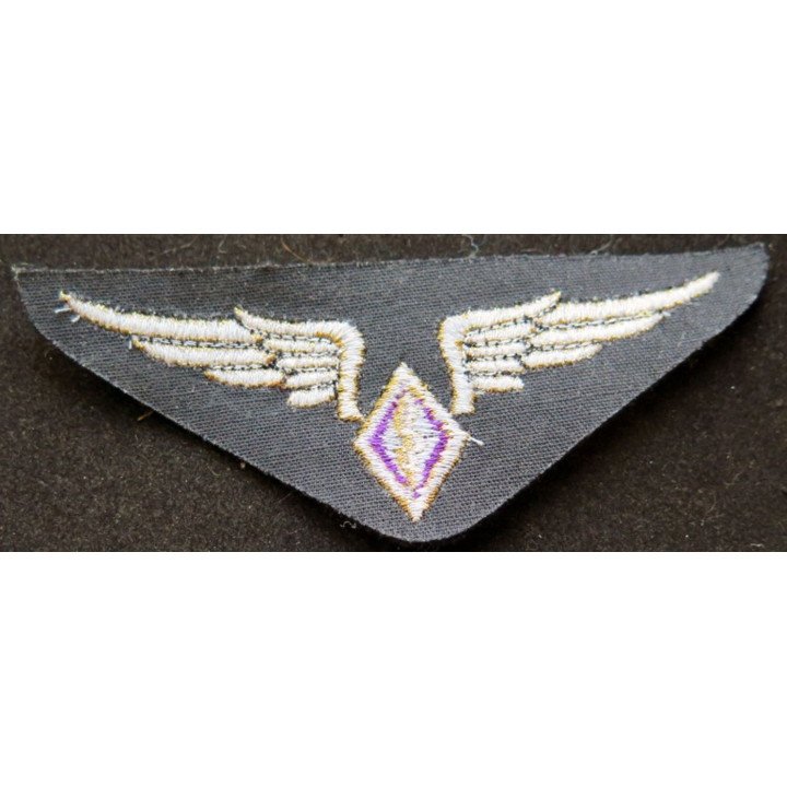 Insigne tissu de l'armée de l'air personnel non navigant en cannetille