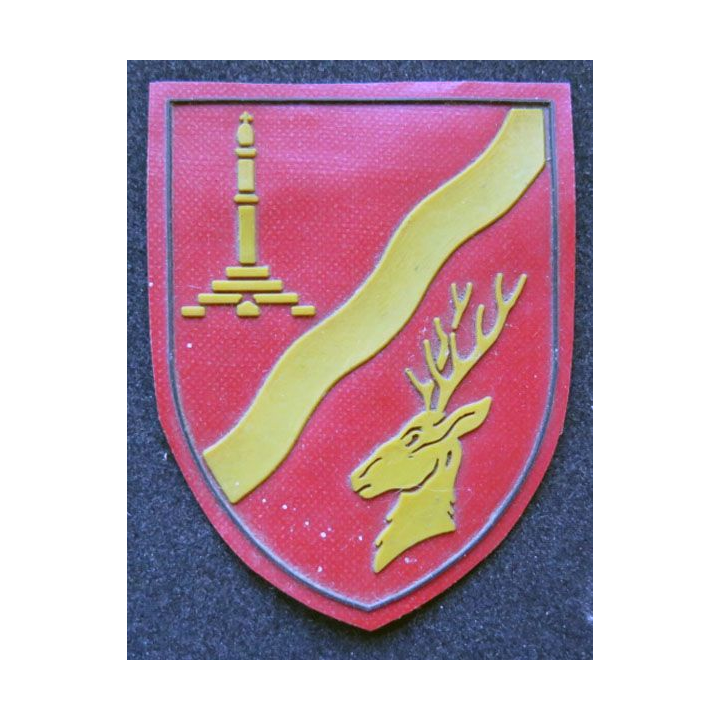 Insigne tissu non identifié belge ?
