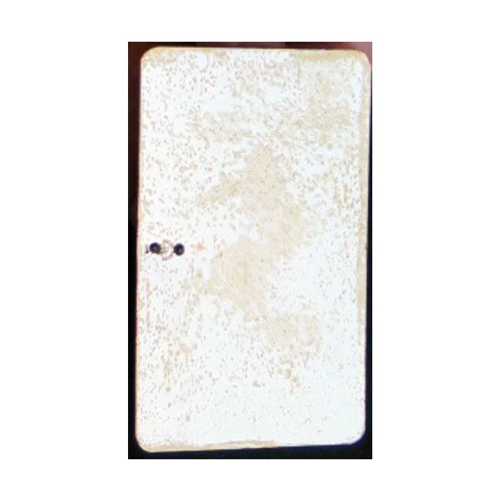 carte de membre à vie dorée et gravée 9 x 5,5 cm USA American Legion