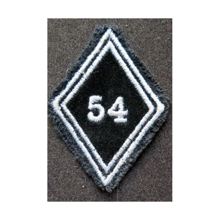 LOSANGE DE BRAS MODÈLE 45 : 54° régiment de transmissions troupe