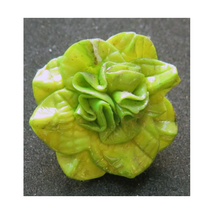 MAGNET FRIGO représentant une salade 4,5 cm de large