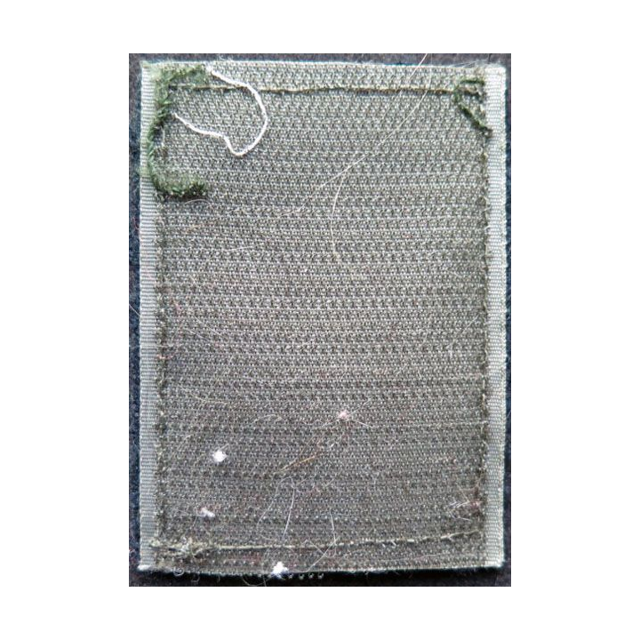 11° DP : insigne tissu de la 11° division parachutiste