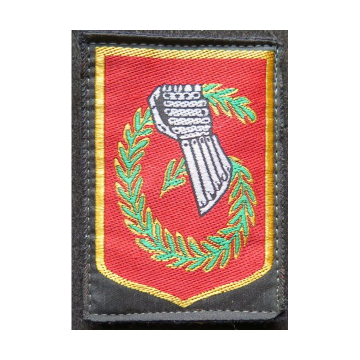 6° DLB : insigne tissu de la 6° division légère blindée 5,5 x 7,8 cm sur scratch
