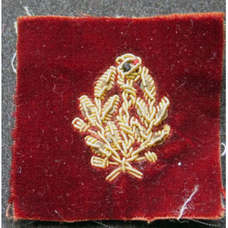 insigne tissu de  médecin en cannetille