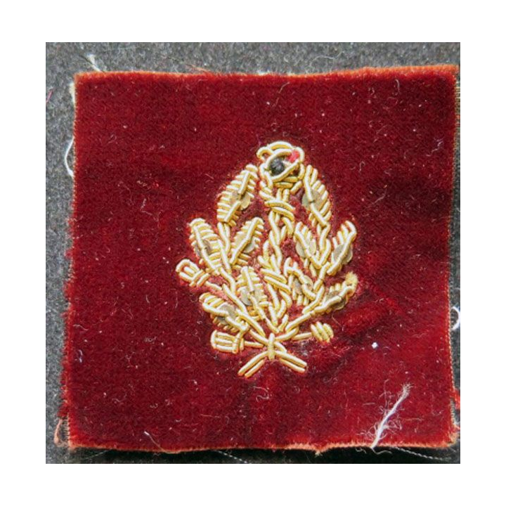 insigne tissu de  médecin en cannetille