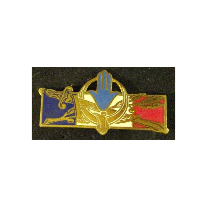 FORCES FRANÇAISES AFRIQUE DU NORD (SANS 1314) ÉMAIL