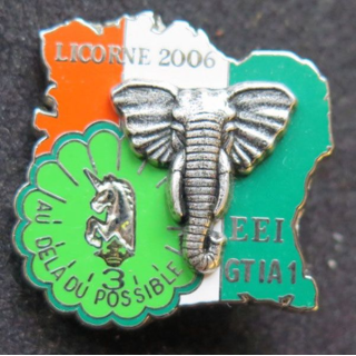 1° RHP 3° Escadron du 1° hussards parachutistes LICORNE 2006 EEI GTIA 1