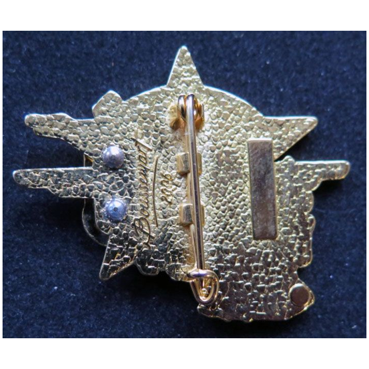 2° cie 1° régiment chasseurs parachutistes opération PAMIR XIII RCP