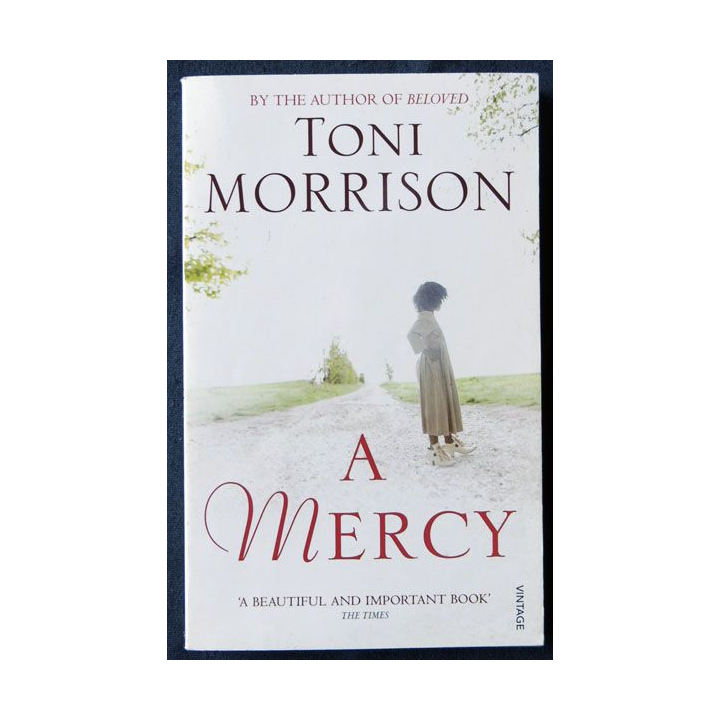 A Mercy (anglais) écrit par Toni Morisson aux éditions Vintage Books London - F016