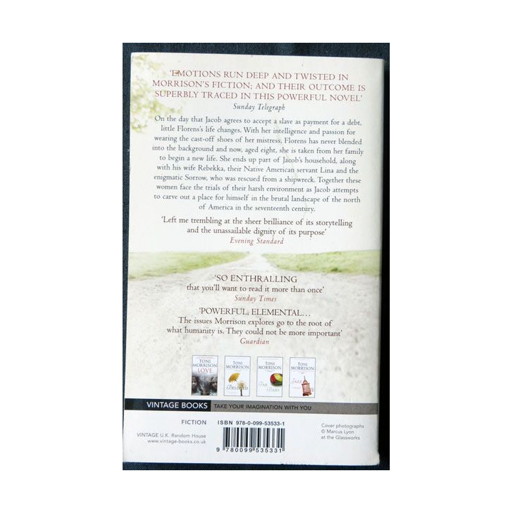 A Mercy (anglais) écrit par Toni Morisson aux éditions Vintage Books London - F016