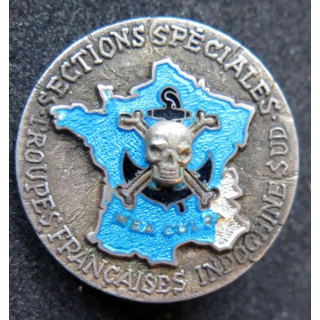 SS TFIS sections spéciales forces françaises Indochine Sud mea culpa