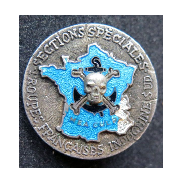 SS TFIS sections spéciales forces françaises Indochine Sud mea culpa