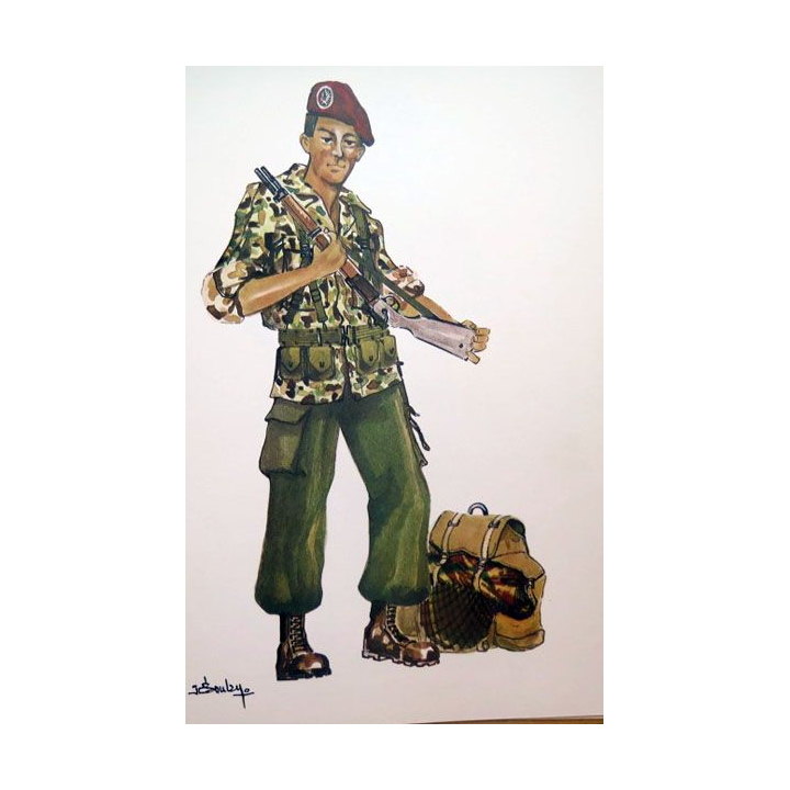 Uniformes contemporaines insignes série 2 Paras Indo Algérie Lavauzelle