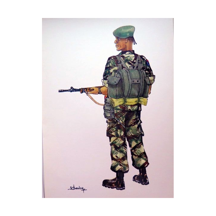 Uniformes contemporaines insignes série 2 Paras Indo Algérie Lavauzelle