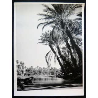 Photo argentique 18 x 24 cm sur la guerre d'Algérie Oued Béchar