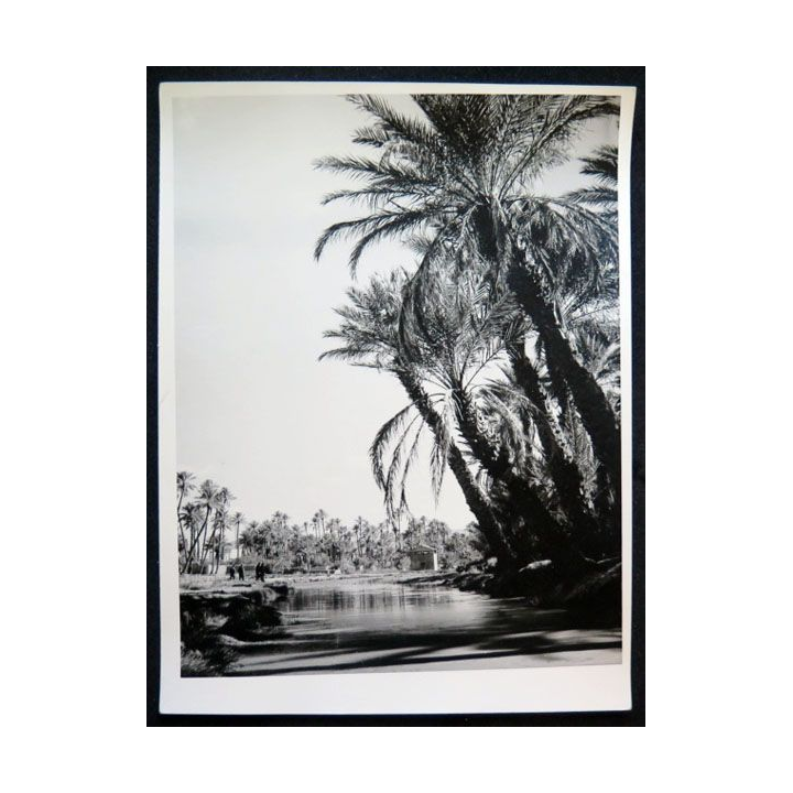 Photo argentique 18 x 24 cm sur la guerre d'Algérie Oued Béchar