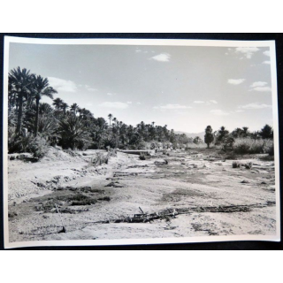 Photo argentique 18 x 24 cm sur la guerre d'Algérie Oued Béchar 1958