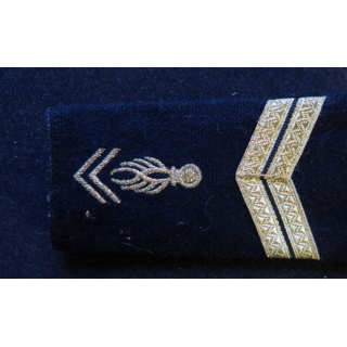 paire de fourreau d'épaule de marsouin Troupes de marine