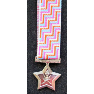 OMAN médaille fête nationale 25 ans Glorious 25 th national day medal