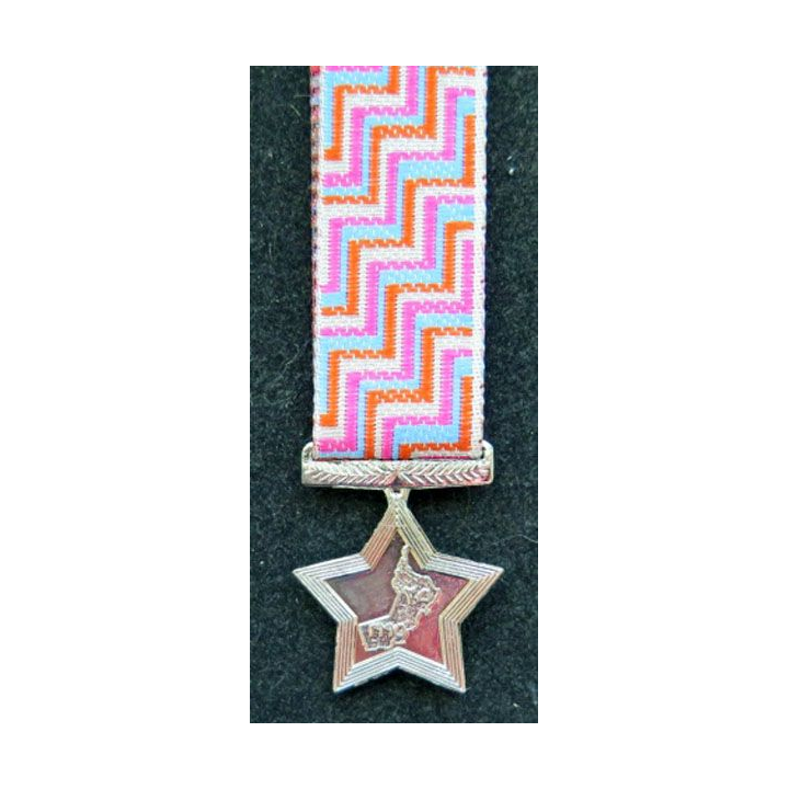 OMAN médaille fête nationale 25 ans Glorious 25 th national day medal