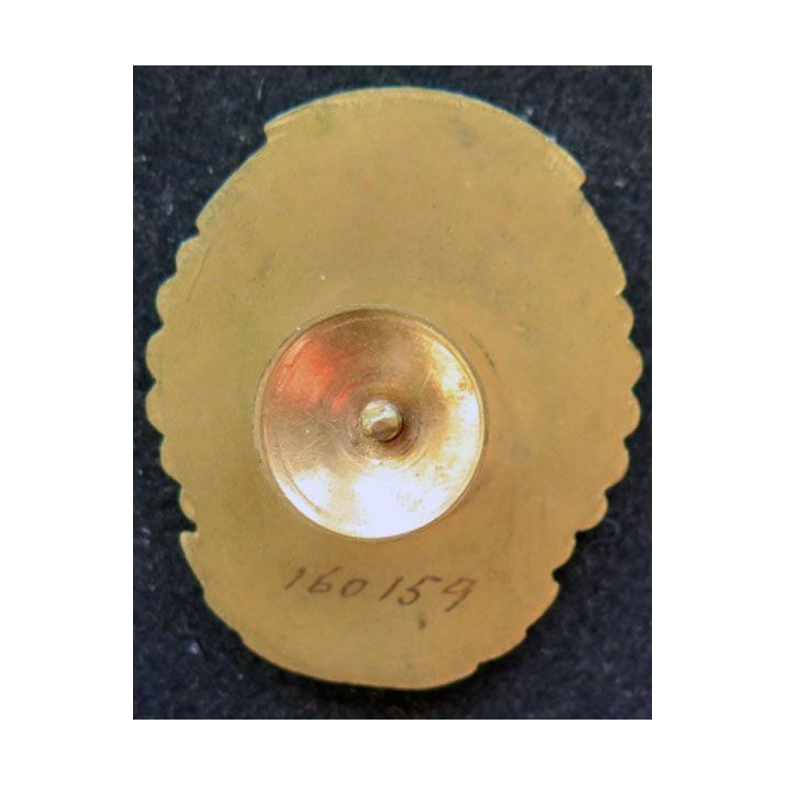 MONGOLIE : Ordre de la mère héroïne Mother héroïne medal 2° classe N° 160159