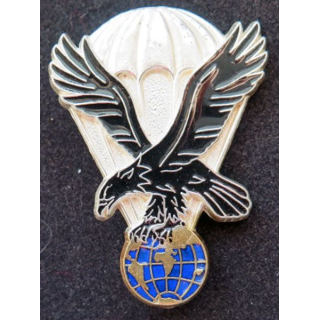 11° DP État major 11° division parachutiste Delsart G. 3802 translucide
