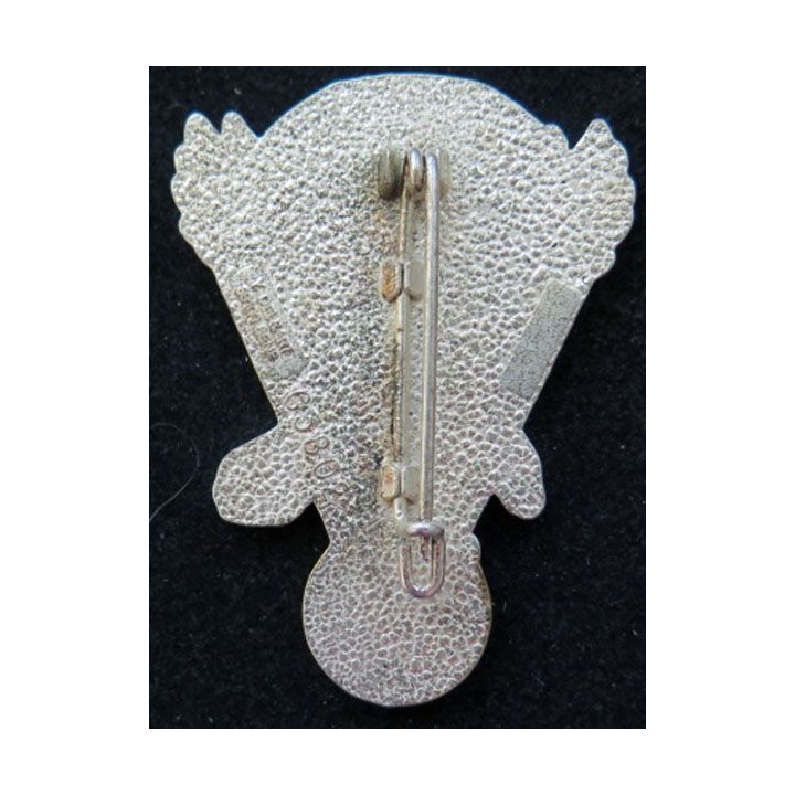 11° DP État major 11° division parachutiste Delsart G. 3802 translucide